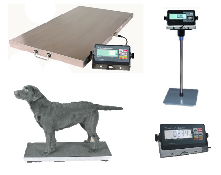 Vetenery & Pet Scales Scales Suppliers South Africa Industrial Scales