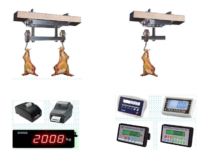 Butchery & Abattoir Receiving Scales (without indicator) Scales