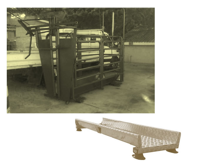 Livestock Scales & Equipment (Cattle & Sheep) Scales Suppliers South